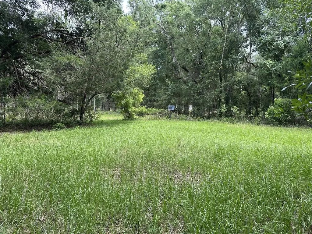 367 Sw Kinard Court, FORT WHITE