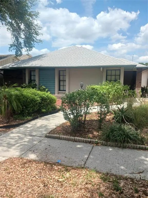 8008 La Serena Drive, TAMPA