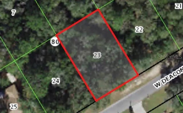 805 W Deacon Place, CITRUS SPRINGS