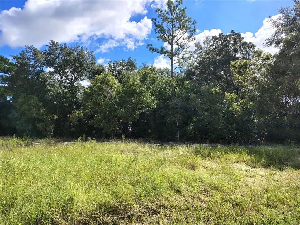 Silver Springs Shores Unit16, OCALA