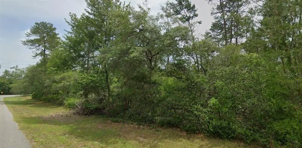 Tbd Sw 31 Court, OCALA