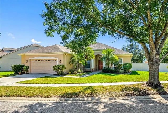 11749 Summer Springs Drive, RIVERVIEW