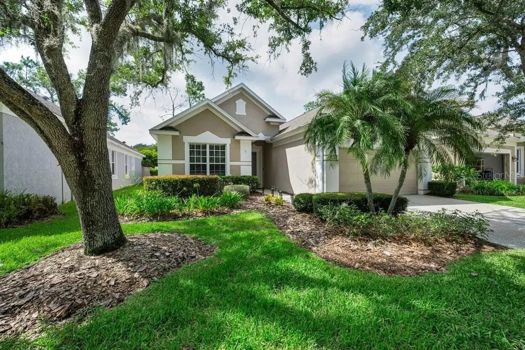18104 Hamden Park Way, TAMPA