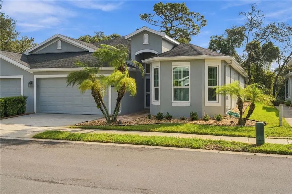 10719 Ashford Oaks Drive, TAMPA
