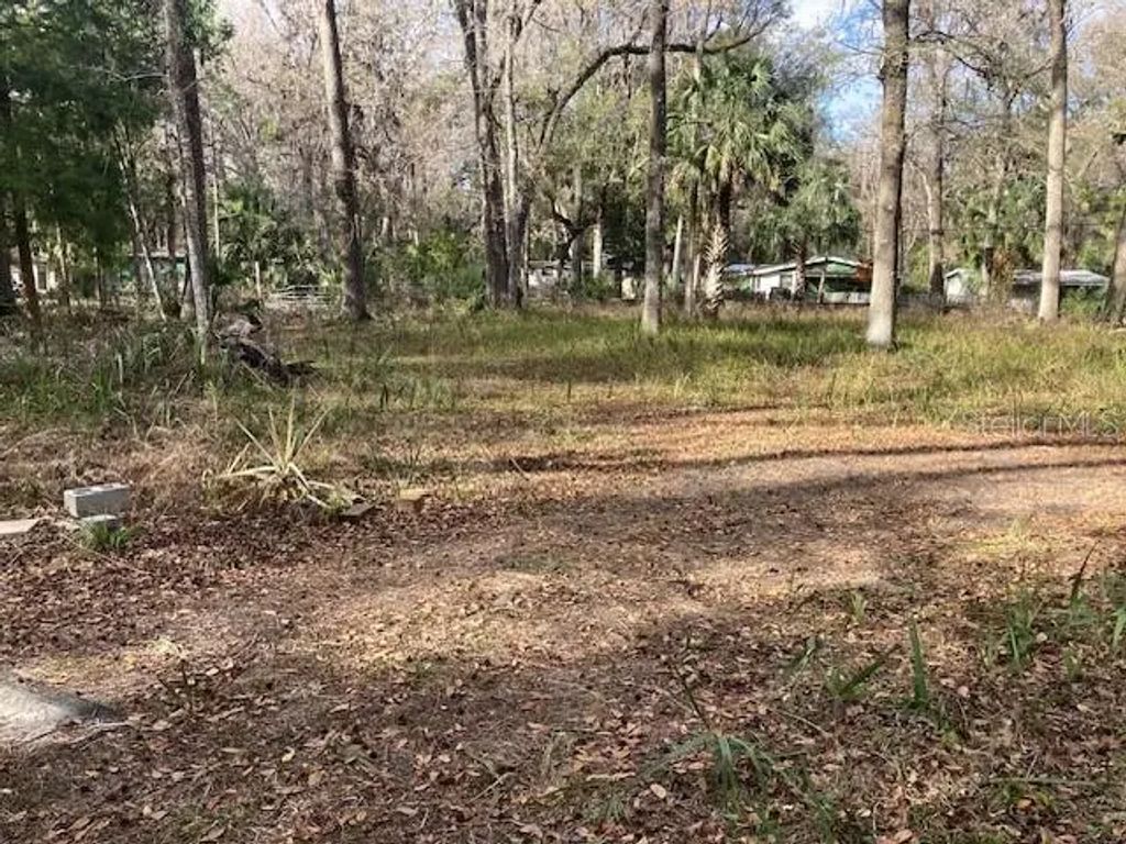 2456 N Jungle Camp Road 1, INVERNESS