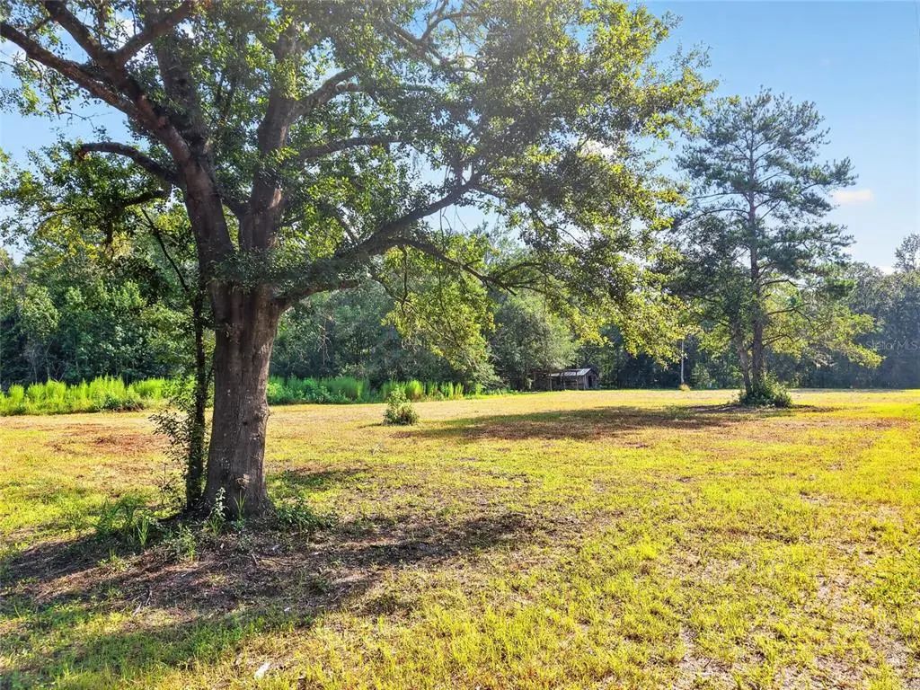 4814 Nw 244 Avenue, ALACHUA