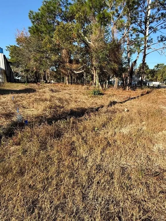 13786 Linden Drive, SPRING HILL