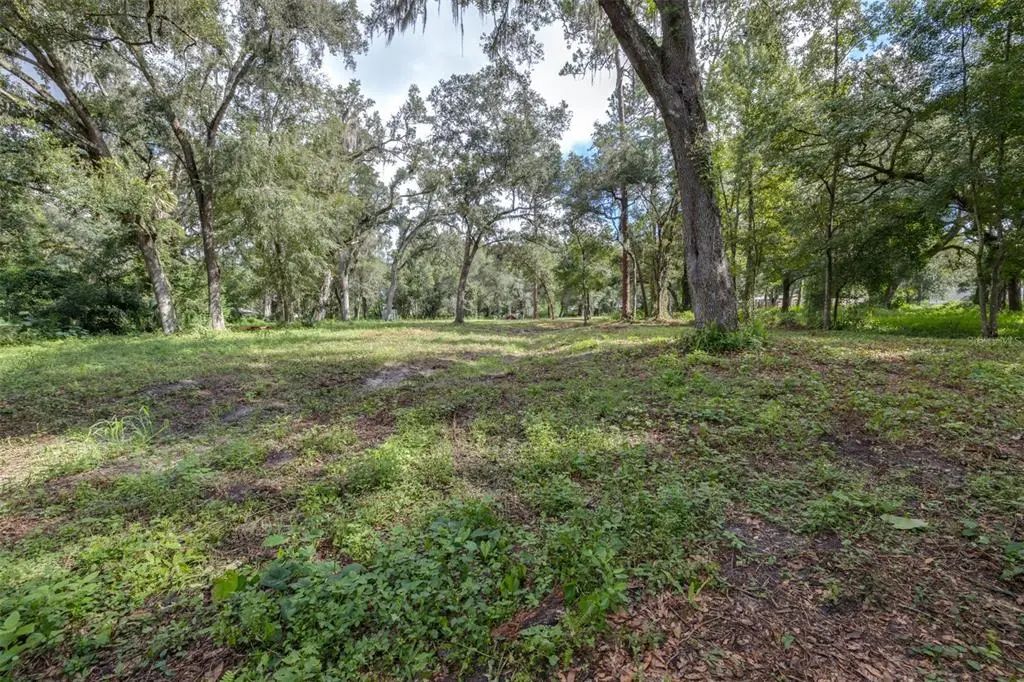 Se 124th Avenue, WEBSTER