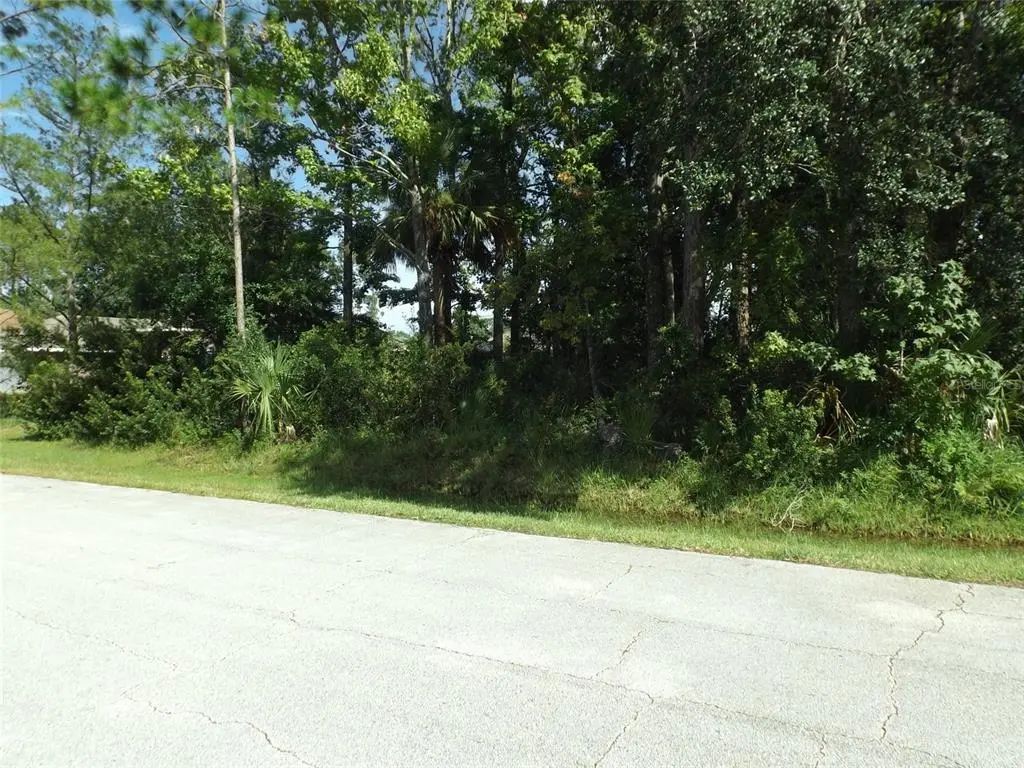176 Frontier Drive, PALM COAST