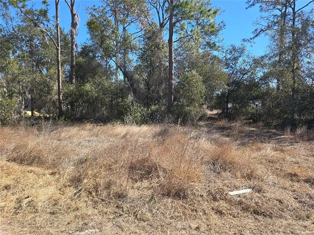 1344 Congo Ct, KISSIMMEE