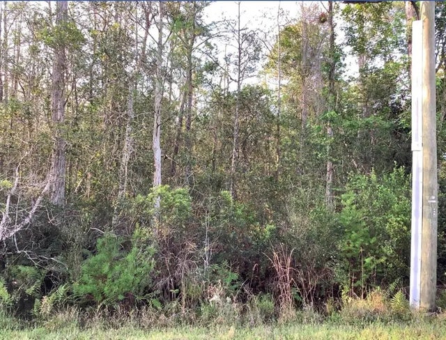 20828 Quinlan St, ORLANDO