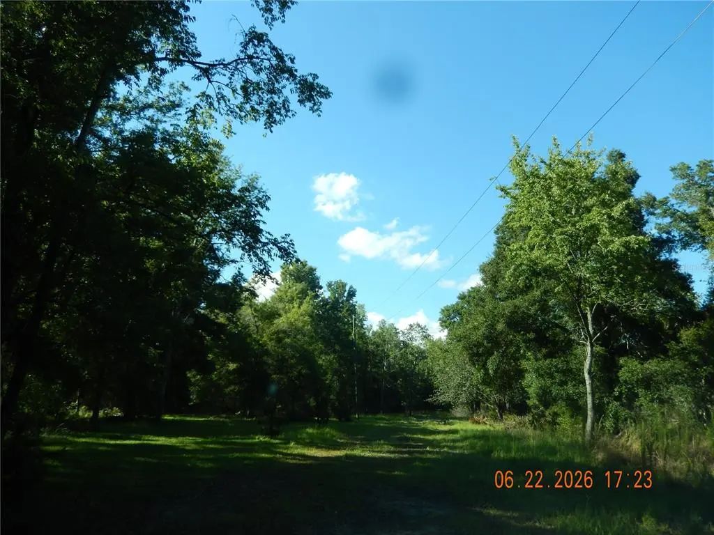 761 Sw Sunview Street, FORT WHITE