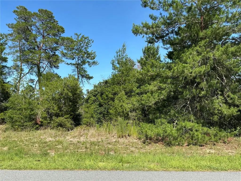 Tbd Sw 35th Avenue Road, OCALA