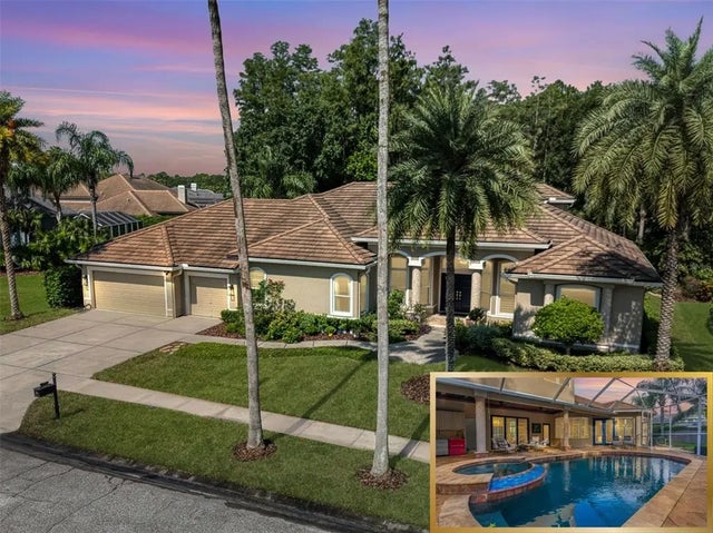 12031 Brewster Drive, TAMPA