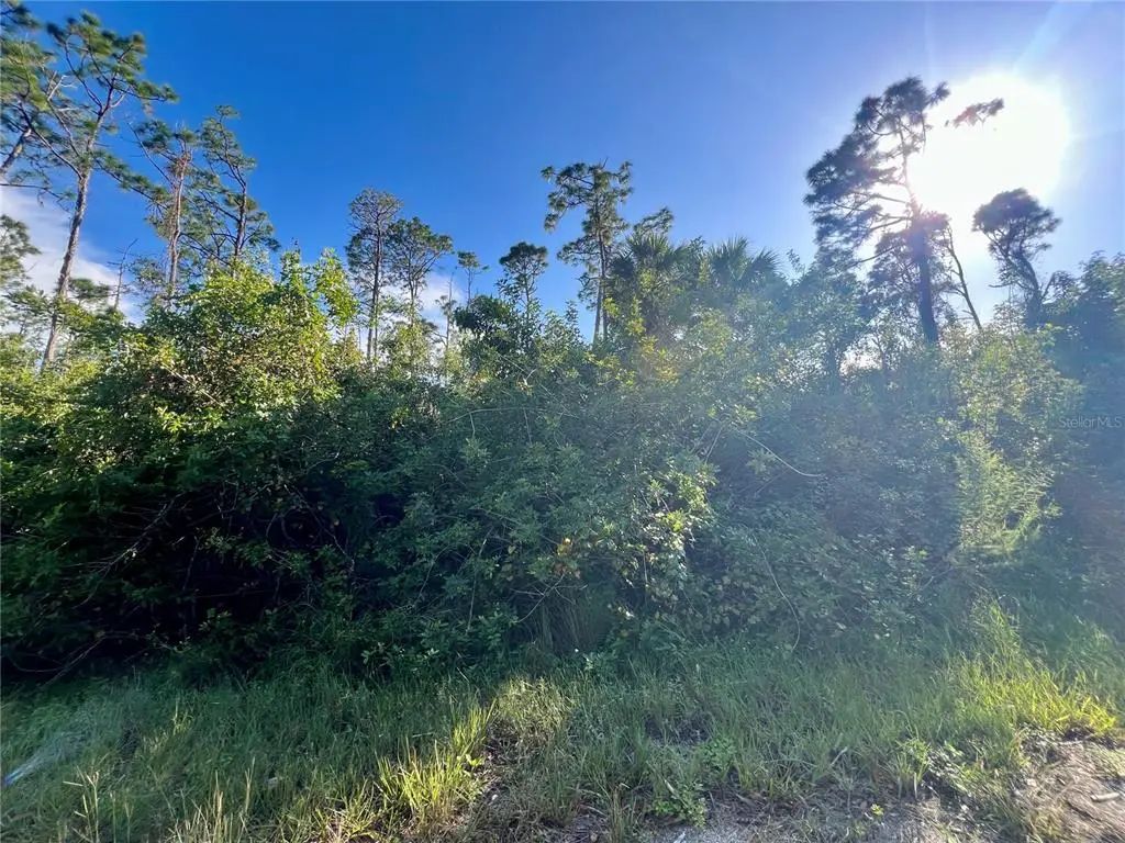 Jubilee Circle, NORTH PORT