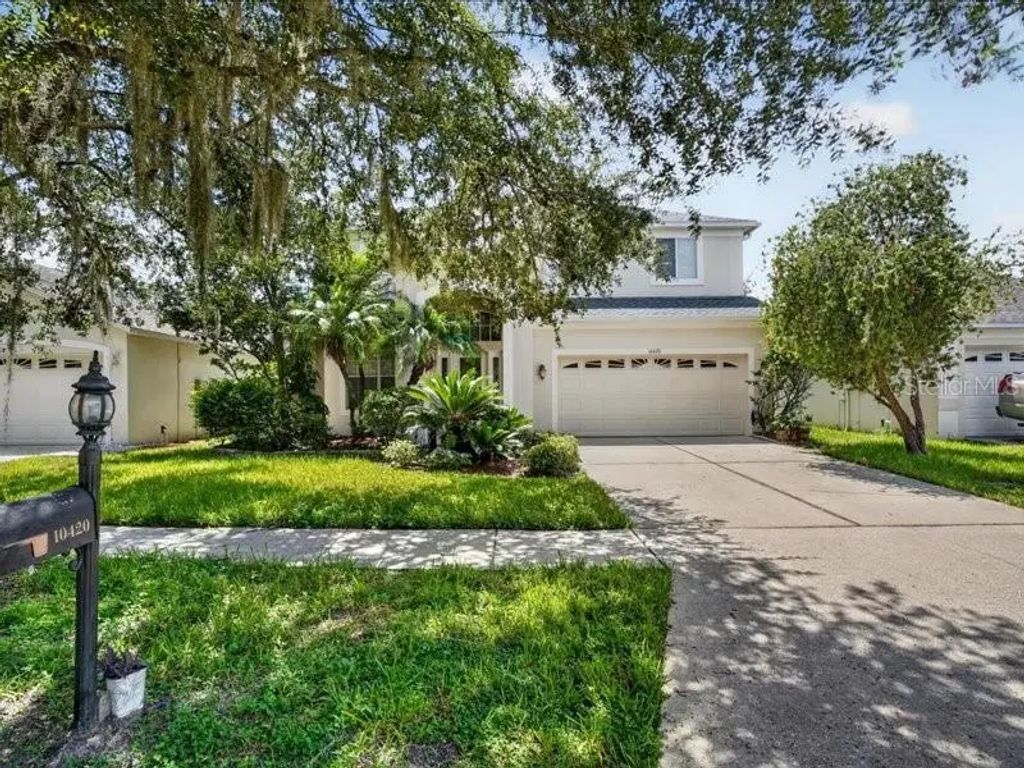 10420 Lucaya Drive, TAMPA
