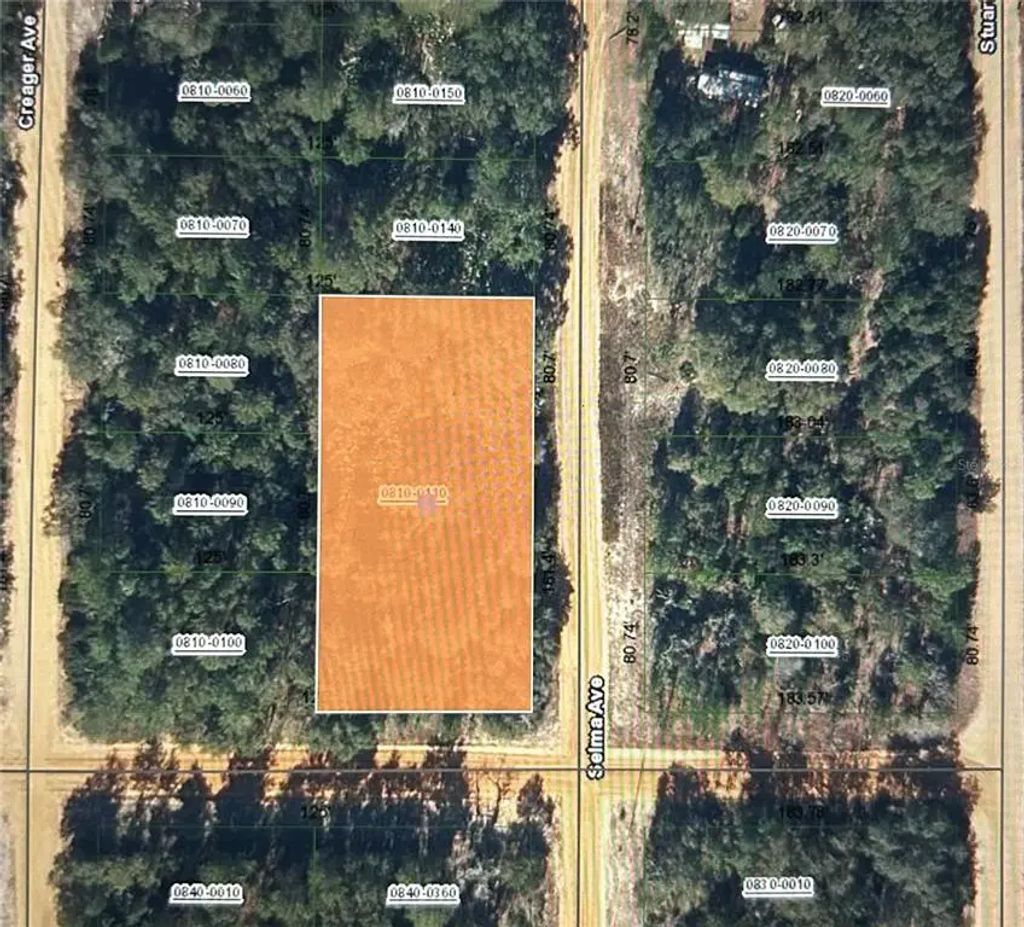 Selma Ave, INTERLACHEN