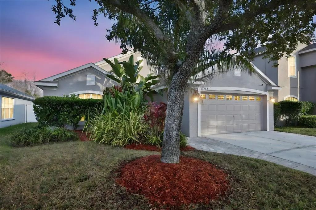 11434 Cypress Reserve Drive, TAMPA
