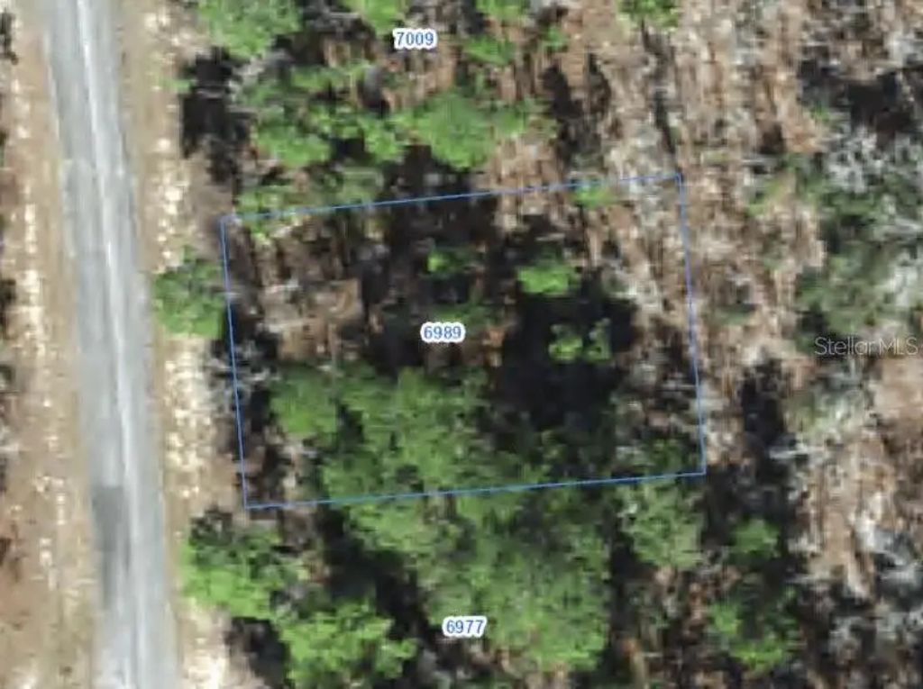 6989 N Foxdale Drive, CITRUS SPRINGS
