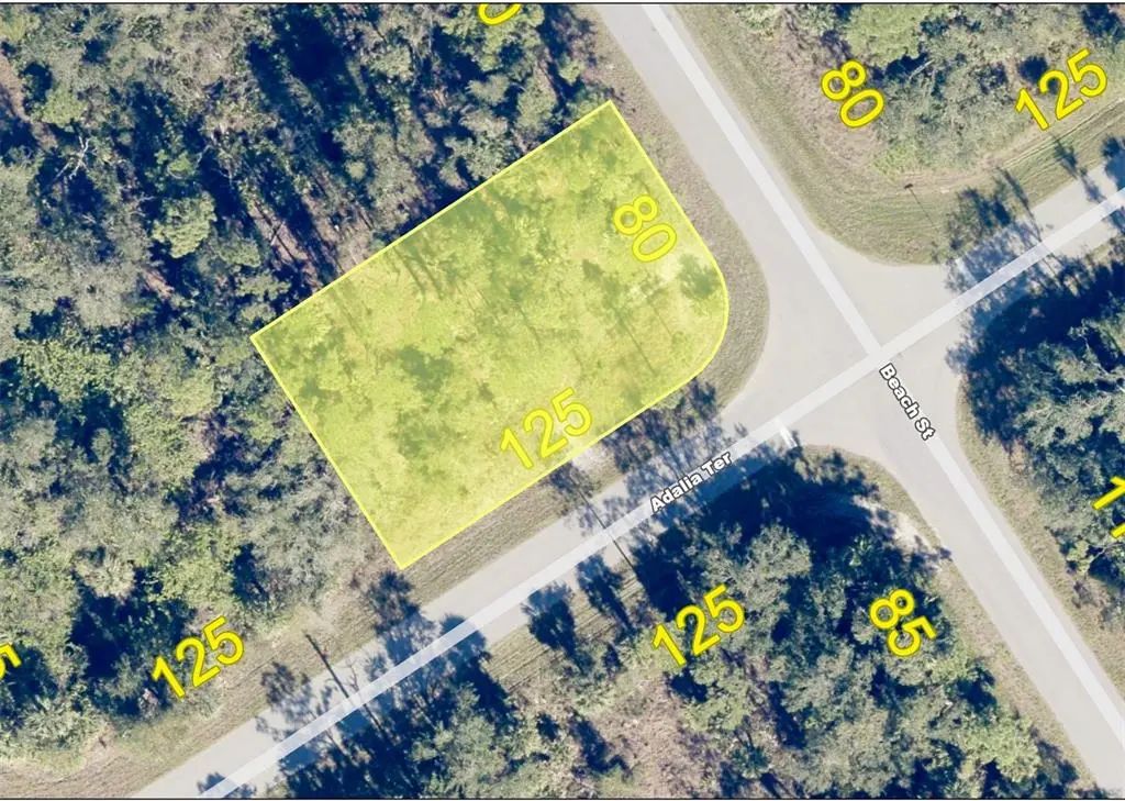 1177 Beach Street, PORT CHARLOTTE