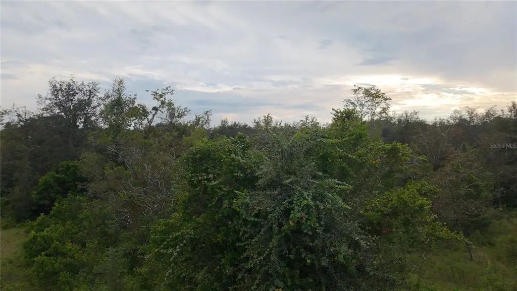 7388 N Manville Road, CITRUS SPRINGS