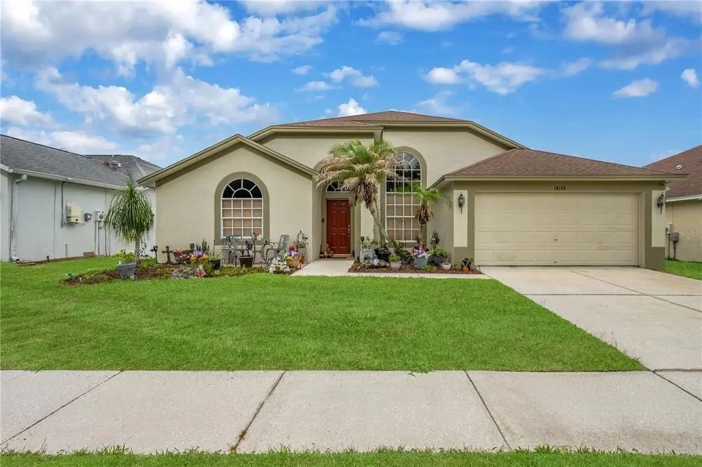 18140 Palm Breeze Drive, TAMPA