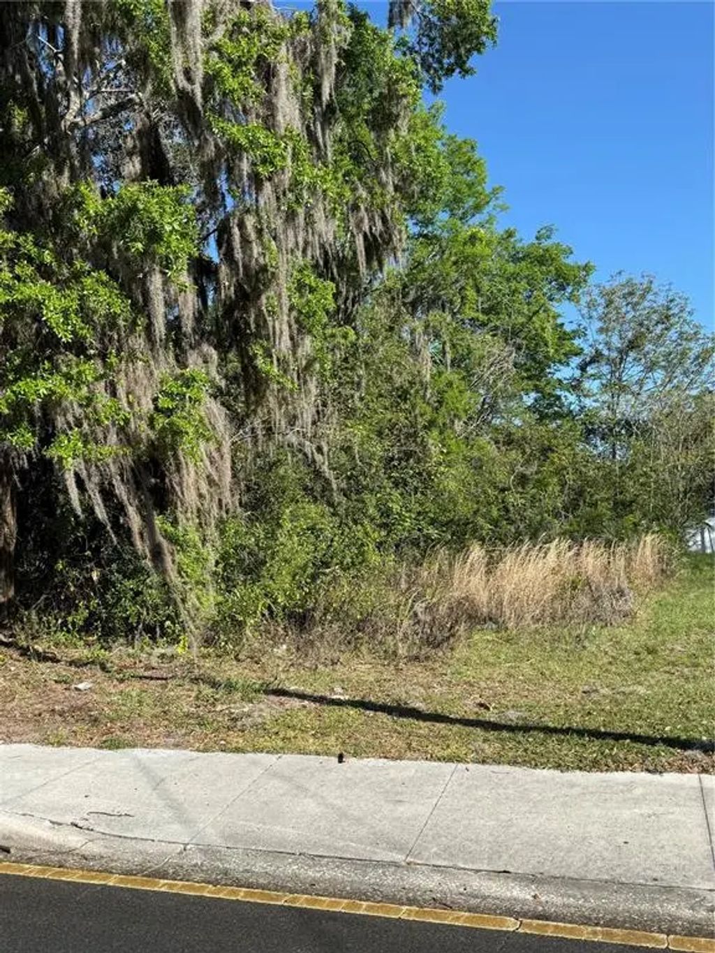 3rd Street, OCALA