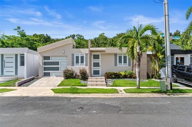 Almendro Los Colobos Park Aa27, CAROLINA