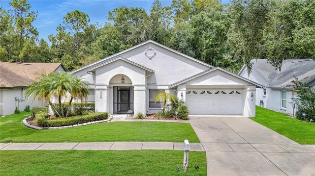 18315 Cypress Stand Circle, TAMPA