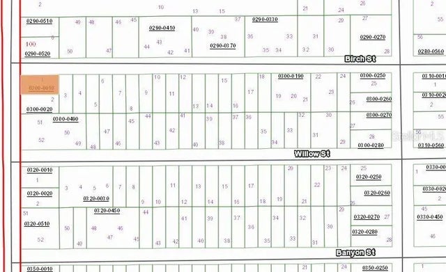 Birch Street, INTERLACHEN