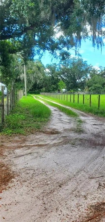 11416 Brahman Road, LITHIA