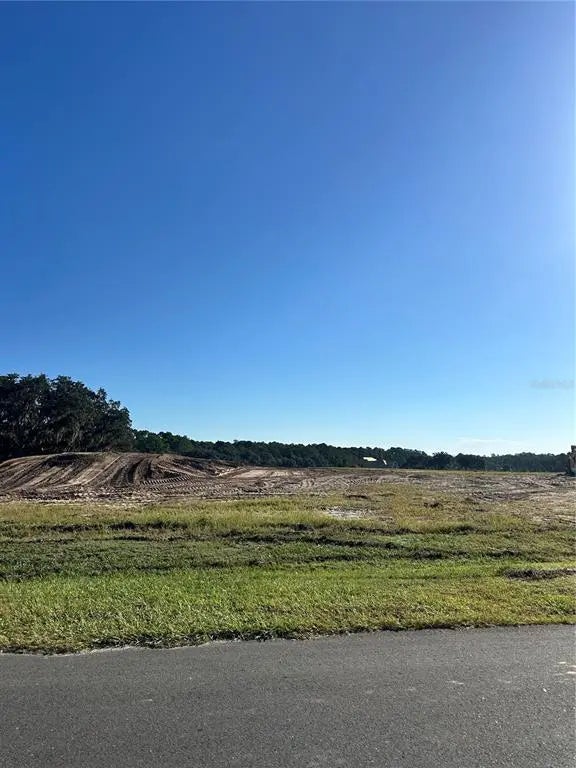 38404 Wooded Meadow Drive, UMATILLA