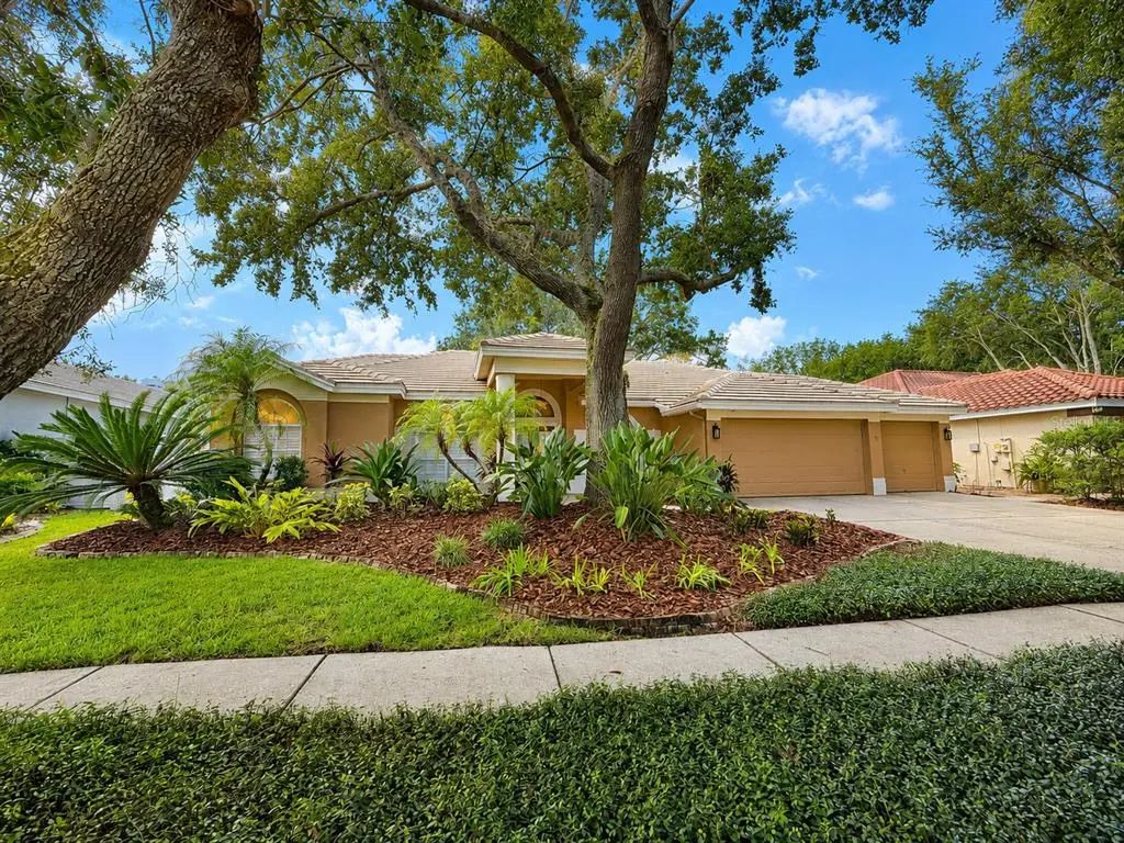9323 Wellington Park Circle, TAMPA