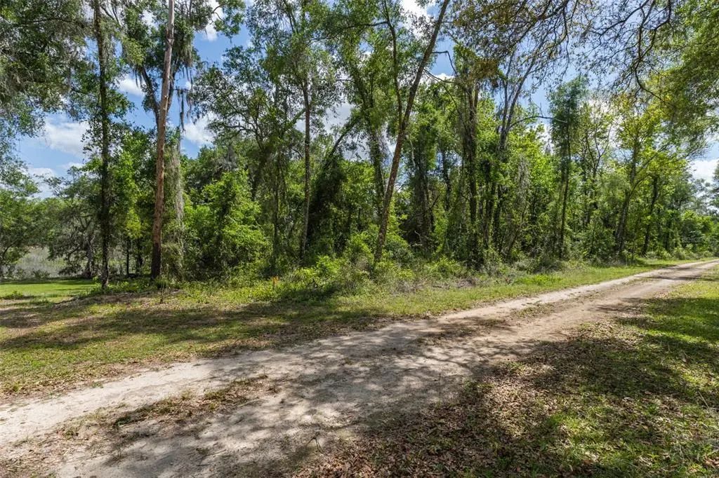 Kenyon Drive, WEBSTER