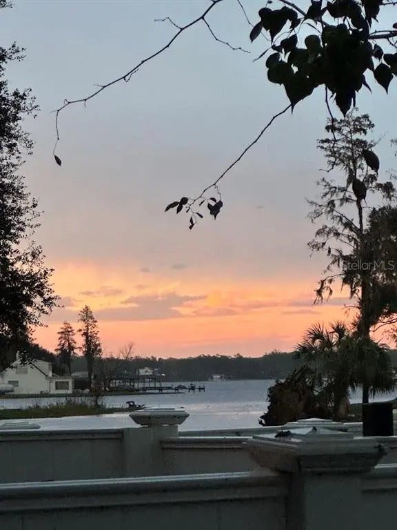 13709 Juniper Blossom Drive, TAMPA