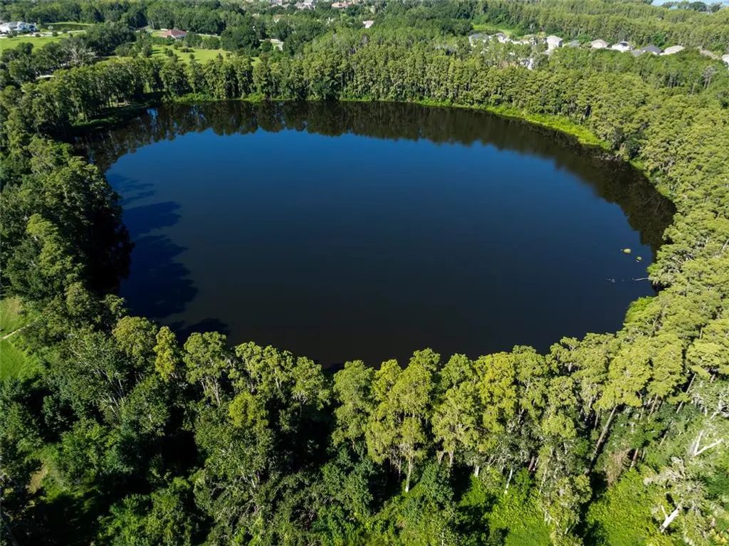 Tbd Collier Parkway, LAND O LAKES