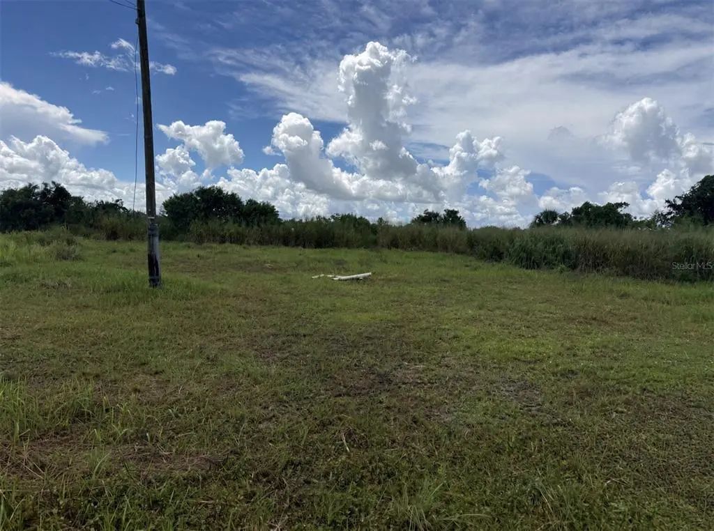Photo of Listing #TB8546215