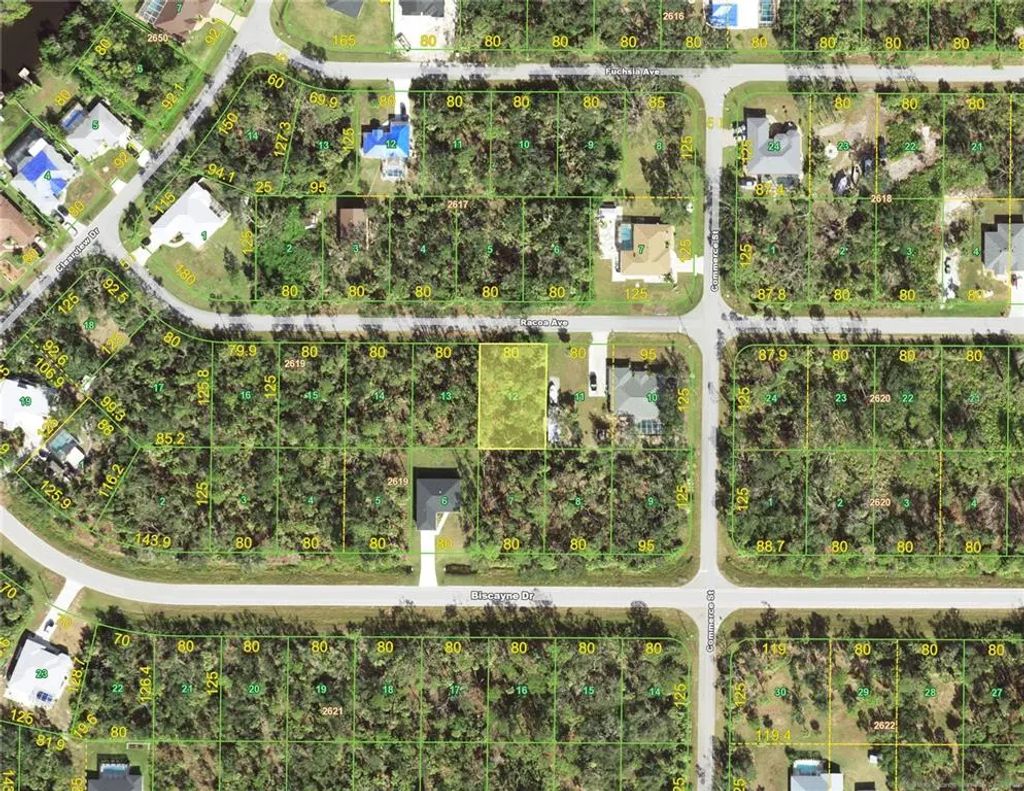14379 Racoa Avenue, PORT CHARLOTTE