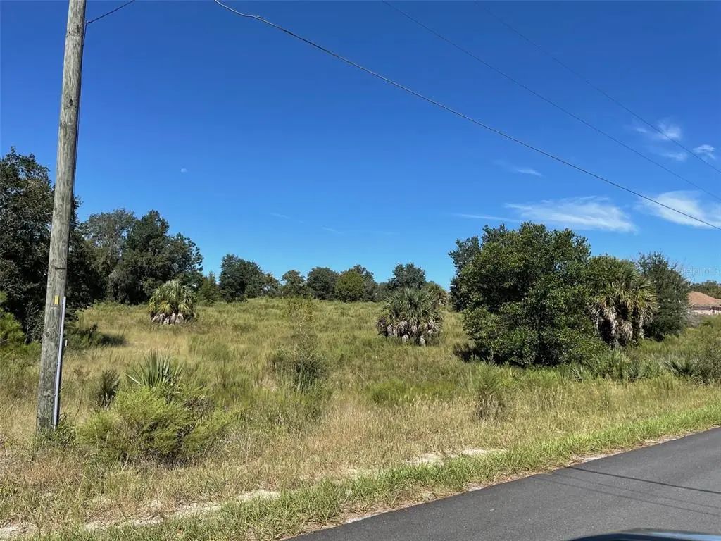 Lot 14 Sw Wisteria Court, DUNNELLON