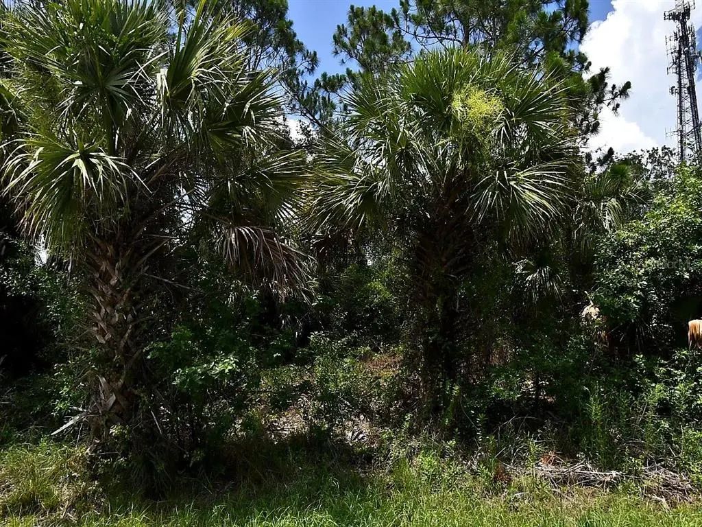 Sago Palm Road, NORTH PORT