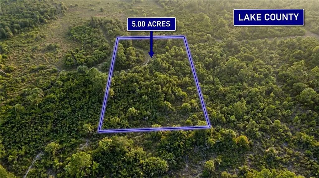 Calvin Lee Road, CLERMONT
