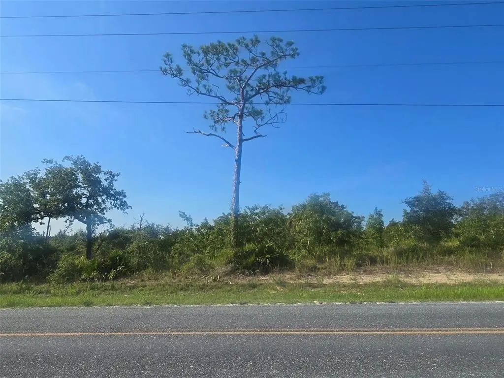 13101 Thrasher Avenue, WEEKI WACHEE