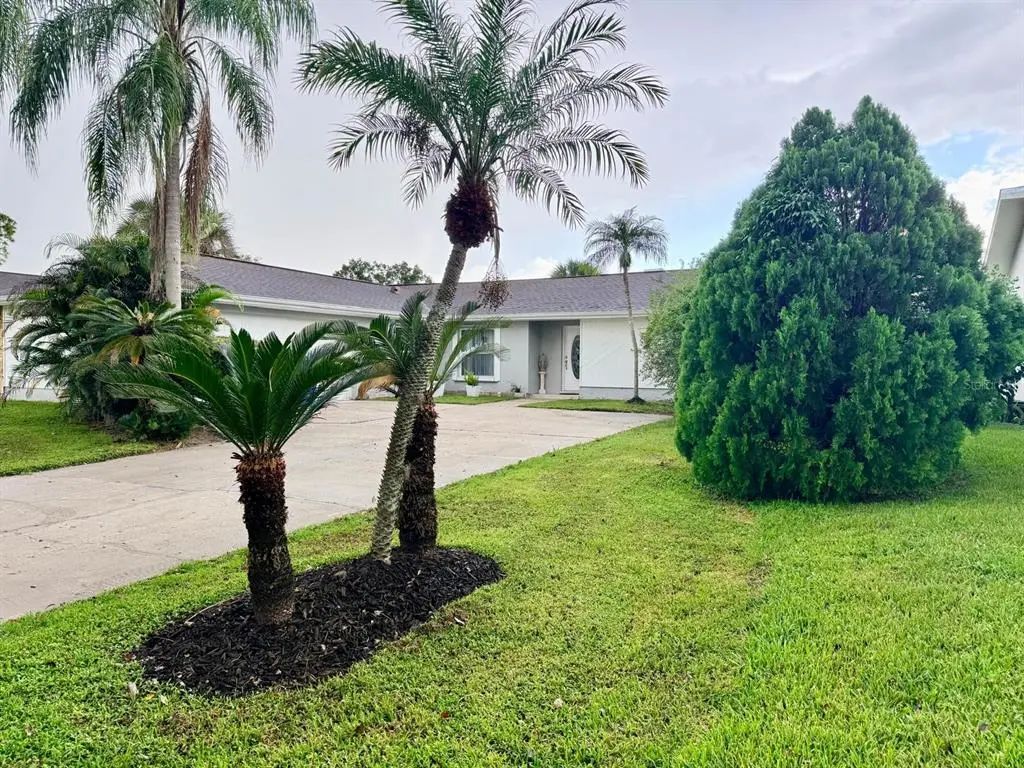 5118 Brynn Mawr Drive, TAMPA