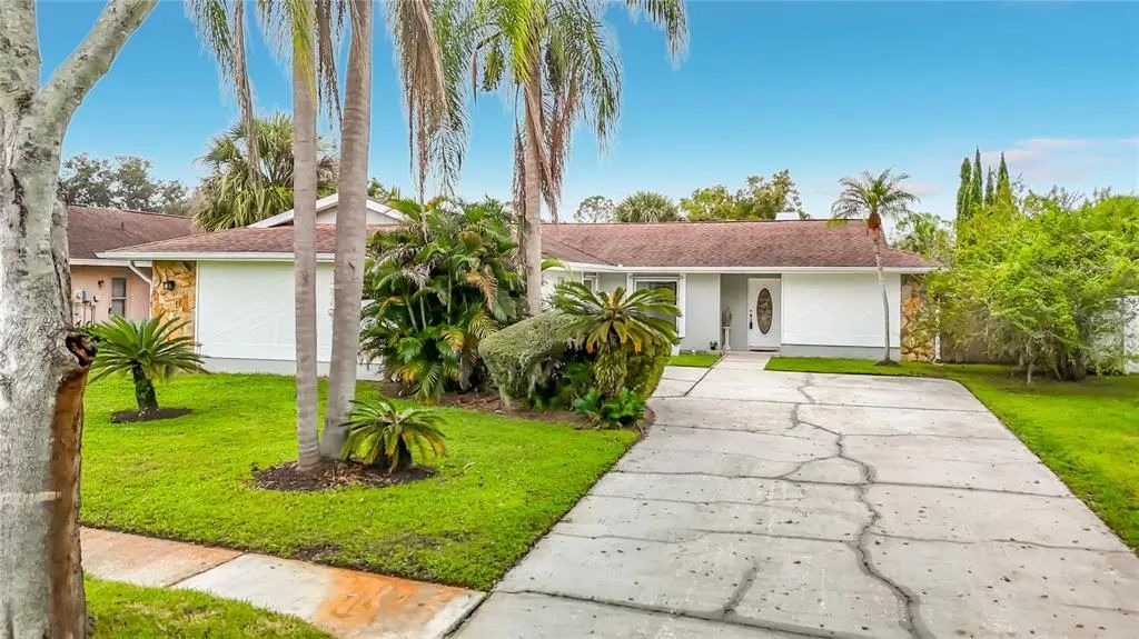 5118 Brynn Mawr Drive, TAMPA