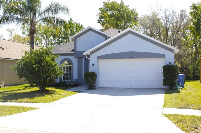 12510 Sparkleberry Road, TAMPA