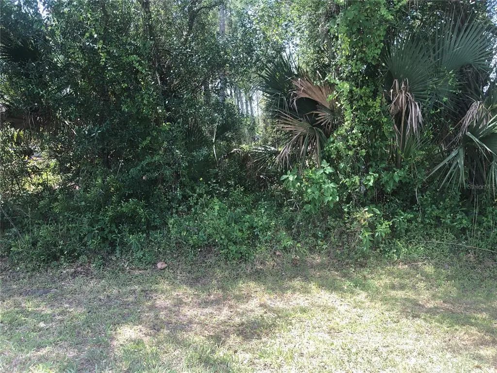 Charland Avenue, NORTH PORT