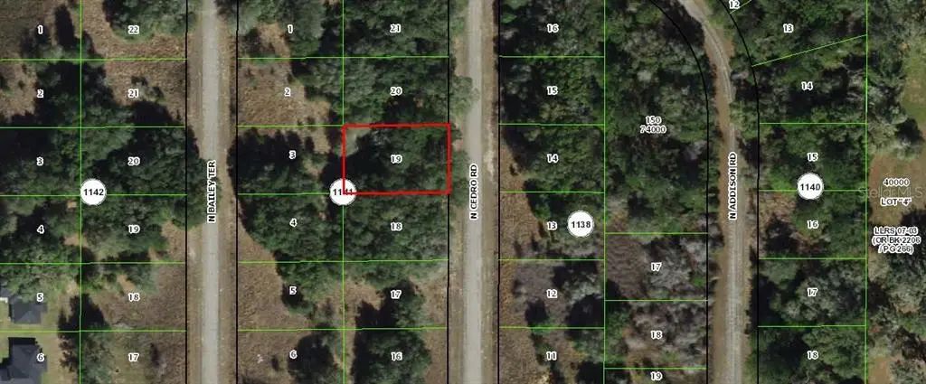 7918 N Cedro Road, CITRUS SPRINGS