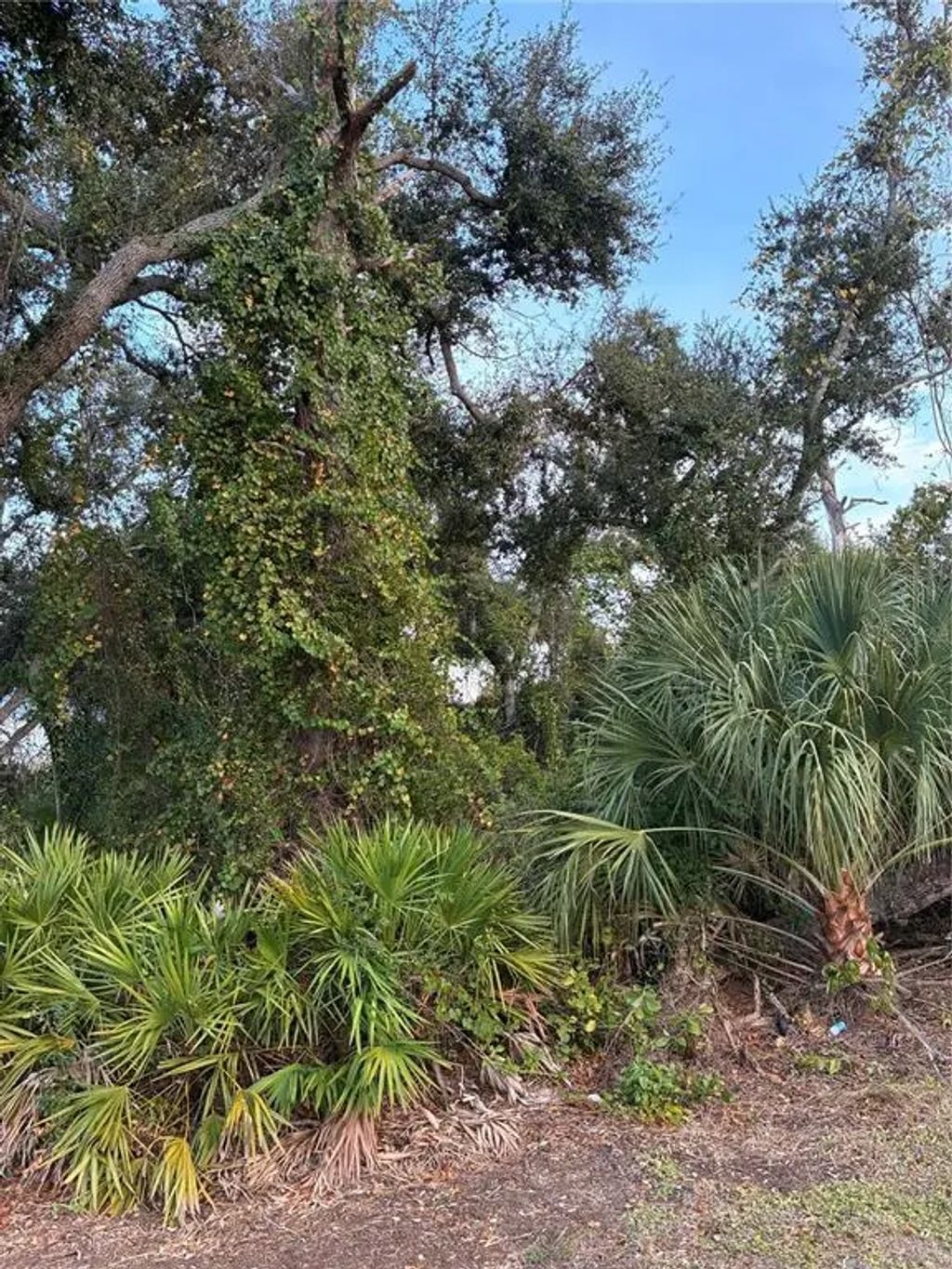 Mendavia Terrace, NORTH PORT