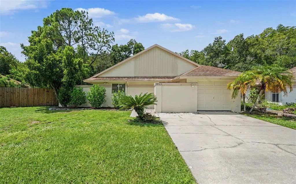 5953 Birchwood Drive, TAMPA