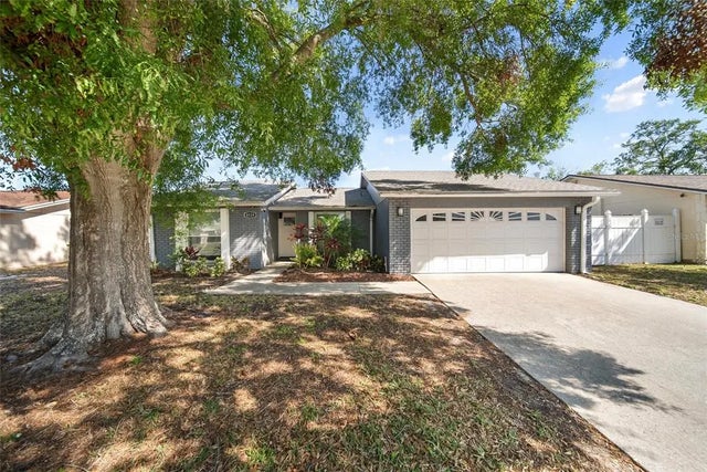 8024 Timberlane Drive, TAMPA